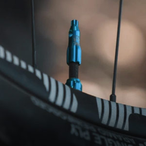 TUBELESS VALVES